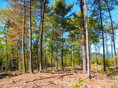 0 Snow Rd unit Lot 3 4498756, Hill, NH 03243 - photo 4