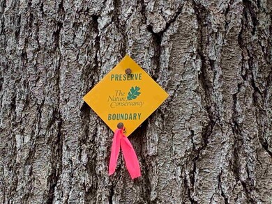 00 Timberline Dirve Dr, Bartlett, NH 03812 - photo 2