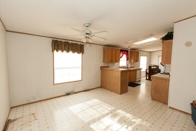 514 Michael Ln, Chenoa, IL 61726 - photo 3