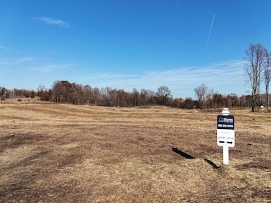 7701 Lake John Dr, Annandale, MN 55302 - photo 4