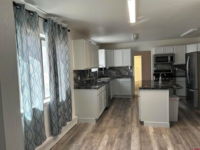 320 W 7th Ave, Nucla, CO 81424 - photo 4