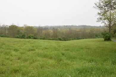 682 A T Dean Rd unit (Tract E), Harrodsburg, KY 40330 - photo 5