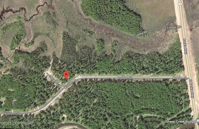 49375 S Noahs Cir, Willow, AK 99688 - photo 7