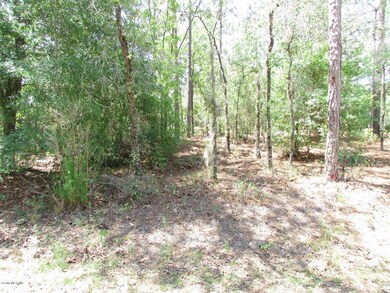 000 SW 185th Avenue Rd, Dunnellon, FL 34432 - photo 2