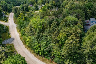 C-18 High Meadow Rd, Winhall, VT 05340 - photo 7