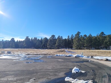 View from driveway