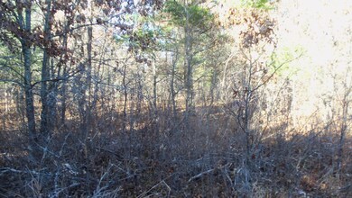 Lot 4 Mclain Rd, Grantsburg Township, WI 54840 - photo 4