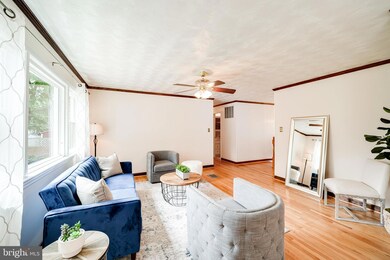 6623 Hulvey Terrace, Alexandria, VA 22306 - photo 4