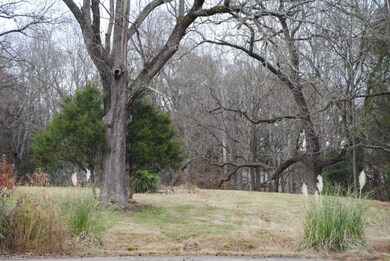 159 Southway Ln, Statesville, NC 28625 - photo 4