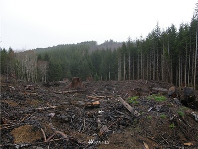 0 M.P. 63 U S 101, Raymond, WA 98577 - photo 5