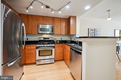The Crescent unit 502, Silver Spring, MD 20910 - photo 6