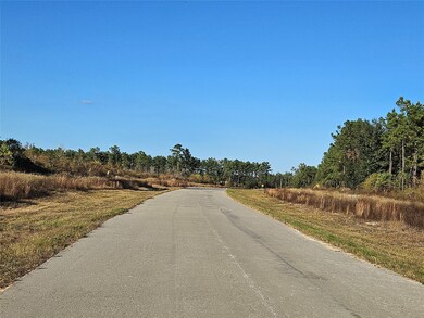 8030 Road 5891, Cleveland, TX 77327 - photo 3