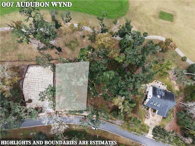 7 Audubon Wynd, Waverly, GA 31565 - photo 3