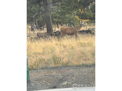 2841 Singletree Rd, Hartsel, CO 80449 - photo 6