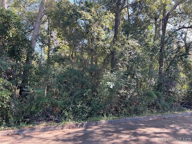 Lot 11 1/2 Lot 12 Berman St, Andalusia, AL 36421 - photo 2