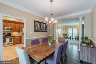 20340 Briarcliff Terrace, Sterling, VA 20165 - photo 6