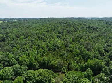 0 Batson Rd, Cumberland Furnace, TN 37051 - photo 4