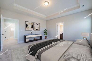 Staged Photo