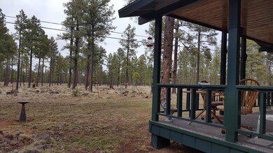 National Forest off Back Deck
