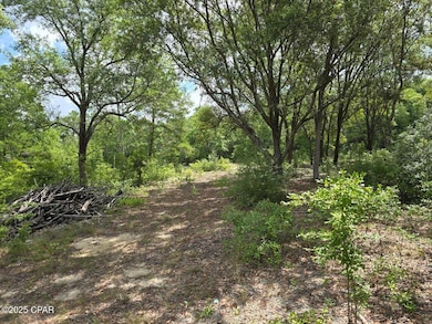 Lot 7 Caldwell Place, Chipley, FL 32428 - photo 4