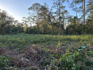 0 Crawford Ct unit 311616, Sebring, FL 33875 - photo 6