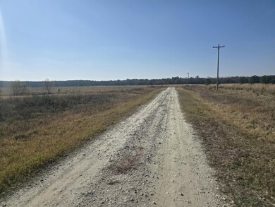 TBD Clearlake Ln, Crockett, TX 75835 - photo 4