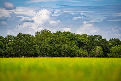 0 Boos Ln unit 80809, Fredericksburg, TX 78624 - photo 6