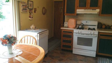 57337 Horseshoe Ct, Goshen, IN 46528 - photo 6