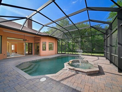 Pool and Spa