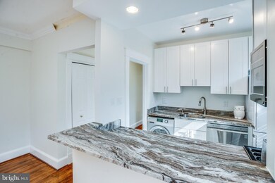 2410 20th St NW unit 309, Washington, DC 20009 - photo 4