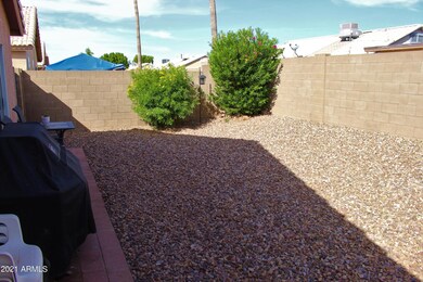 Backyard 2
