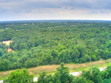 Aerial view with a forest view