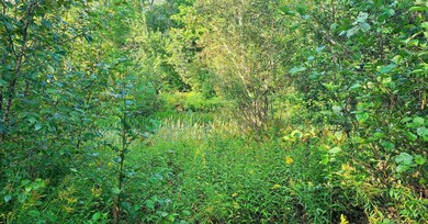 Resized_2 5