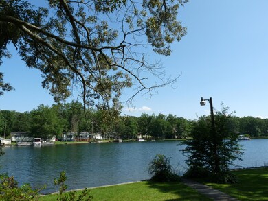 Views from back yard