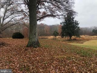 12604 Gallahan Rd, Clinton, MD 20735 - photo 5