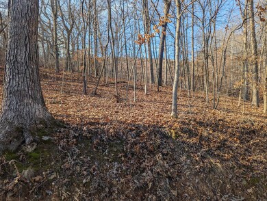 000 Gregg Rd, Reeds Spring, MO 65737 - photo 2