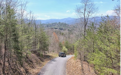 LT17 Mill Ridge Rd, Hiawassee, GA 30546 - photo 7