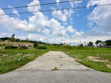 184 McGill Pine Grove Rd, London, KY 40744 - photo 4