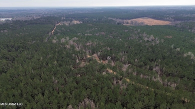 0 Mount Gilead Rd, McCall Creek, MS 39647 - photo 2