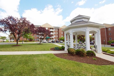 Grounds