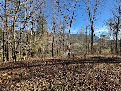 1931 Parksville Rd, Benton, TN 37307 - photo 2