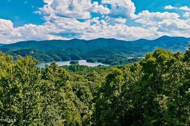 203 Bear Ridge Dr (6 of 108)