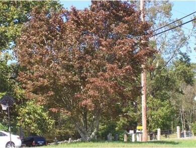 829 Plymouth St, Middleboro, MA 02346 - photo 3