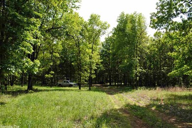 12641 Oak Grove Rd, Winslow, AR 72959 - photo 2