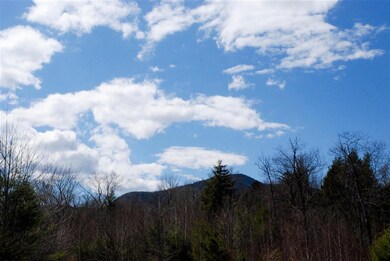 103 Grandview Rd, Conway, NH 03860 - photo 4