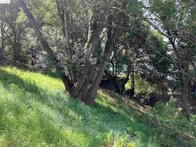 8018 Alvarado Rd, Oakland, CA 94705 - photo 7