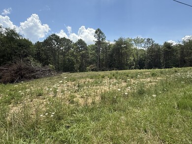 0 Coal Rd unit RTC2930385, Jamestown, TN 38556 - photo 3