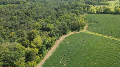 21 Acre Drone 0819247.png