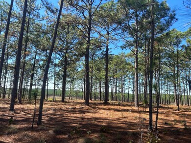 2762 Bullard Ford Rd, Hartsville, SC 29550 - photo 4