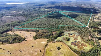 0 Douglas Ferry Rd unit 781383, Esto, FL 32425 - photo 2